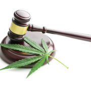 Recent Success Possession of Marijuana - Donna V Pledge Criminal Lawyer - York Region